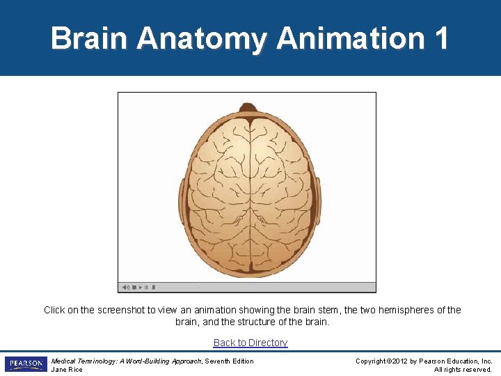 Brain Anatomy Animation 1 Click on the screenshot to view an animation showing the Brain Anatomy Animation 1 Click on the screenshot to view an animation showing the