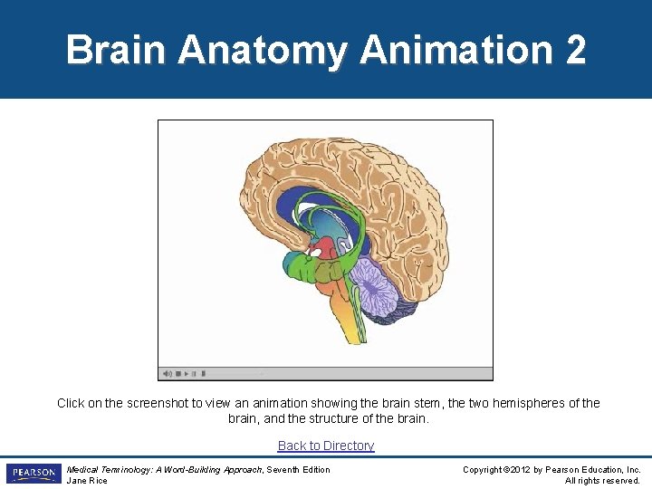 Brain Anatomy Animation 2 Click on the screenshot to view an animation showing the Brain Anatomy Animation 2 Click on the screenshot to view an animation showing the