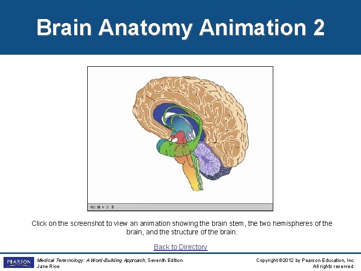 Brain Anatomy Animation 2 Click on the screenshot to view an animation showing the