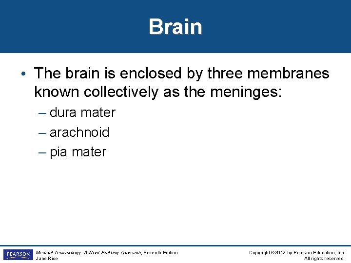 Brain • The brain is enclosed by three membranes known collectively as the meninges: Brain • The brain is enclosed by three membranes known collectively as the meninges: