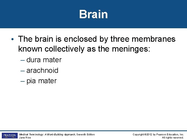 Brain • The brain is enclosed by three membranes known collectively as the meninges: