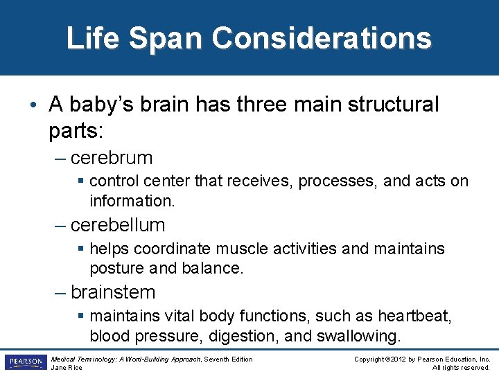 Life Span Considerations • A baby’s brain has three main structural parts: – cerebrum