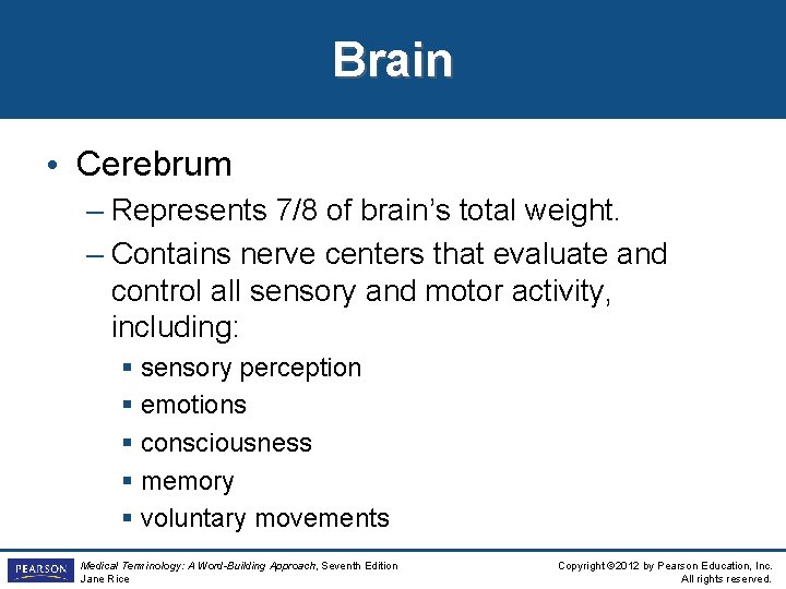 Brain • Cerebrum – Represents 7/8 of brain’s total weight. – Contains nerve centers