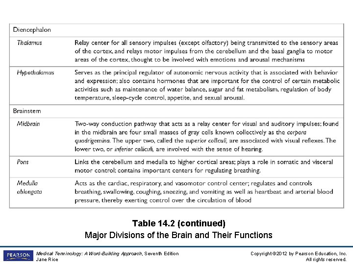 Table 14. 2 (continued) Major Divisions of the Brain and Their Functions Medical Terminology: Table 14. 2 (continued) Major Divisions of the Brain and Their Functions Medical Terminology: