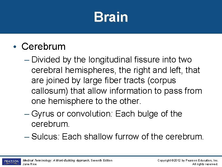 Brain • Cerebrum – Divided by the longitudinal fissure into two cerebral hemispheres, the