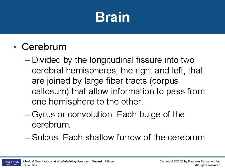 Brain • Cerebrum – Divided by the longitudinal fissure into two cerebral hemispheres, the Brain • Cerebrum – Divided by the longitudinal fissure into two cerebral hemispheres, the