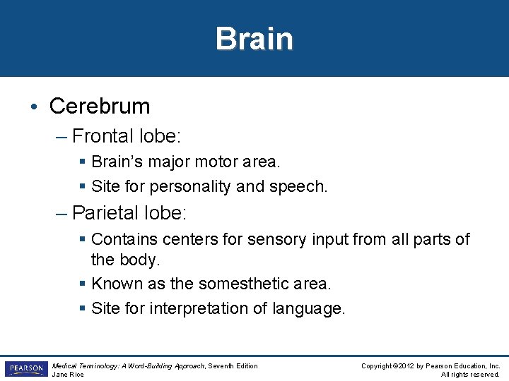 Brain • Cerebrum – Frontal lobe: § Brain’s major motor area. § Site for Brain • Cerebrum – Frontal lobe: § Brain’s major motor area. § Site for