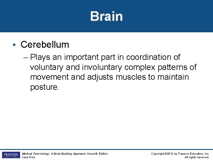 Brain • Cerebellum – Plays an important part in coordination of voluntary and involuntary Brain • Cerebellum – Plays an important part in coordination of voluntary and involuntary