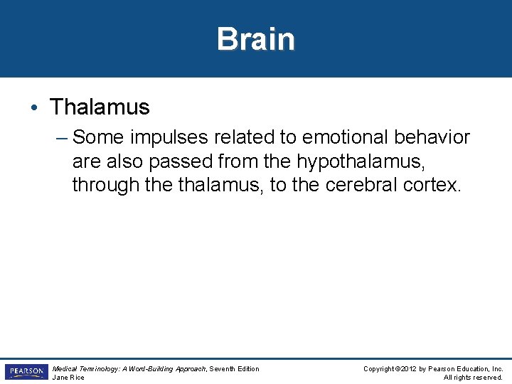 Brain • Thalamus – Some impulses related to emotional behavior are also passed from