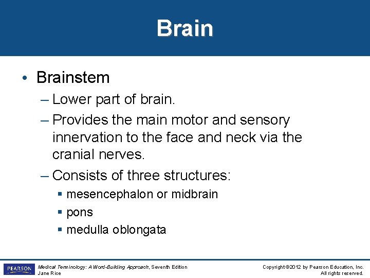 Brain • Brainstem – Lower part of brain. – Provides the main motor and