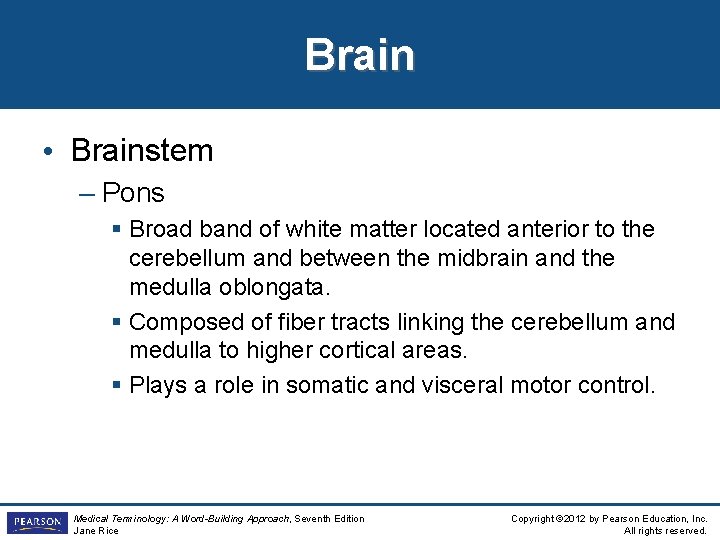 Brain • Brainstem – Pons § Broad band of white matter located anterior to Brain • Brainstem – Pons § Broad band of white matter located anterior to