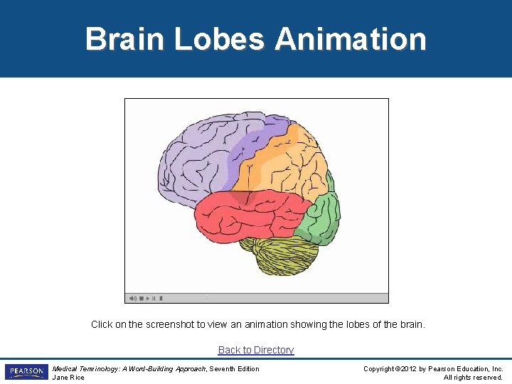 Brain Lobes Animation Click on the screenshot to view an animation showing the lobes Brain Lobes Animation Click on the screenshot to view an animation showing the lobes