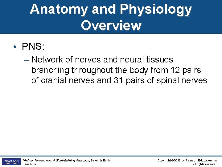 Anatomy and Physiology Overview • PNS: – Network of nerves and neural tissues branching