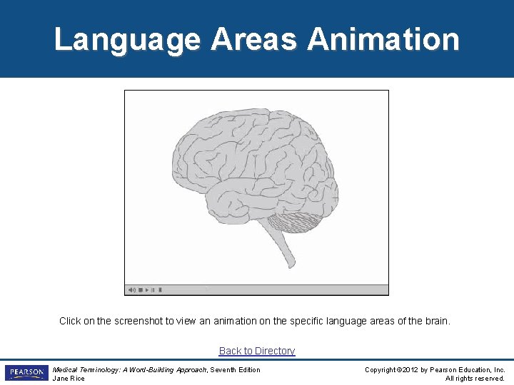 Language Areas Animation Click on the screenshot to view an animation on the specific