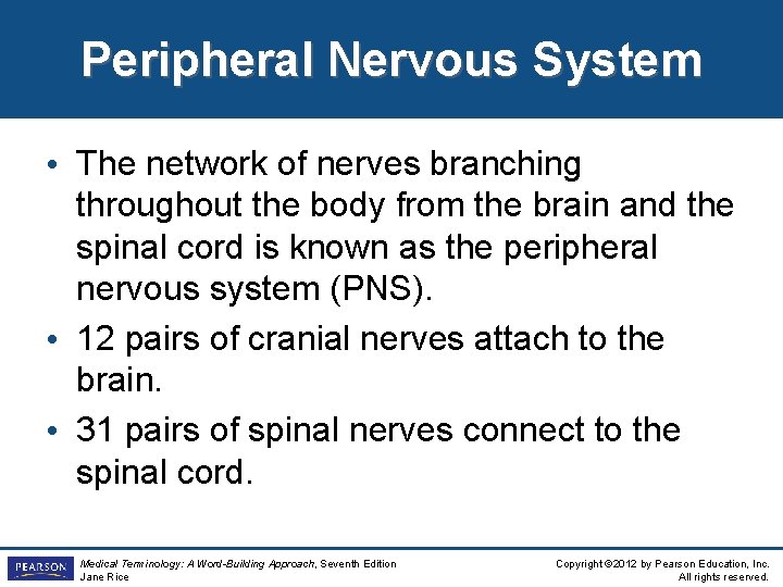 Peripheral Nervous System • The network of nerves branching throughout the body from the Peripheral Nervous System • The network of nerves branching throughout the body from the
