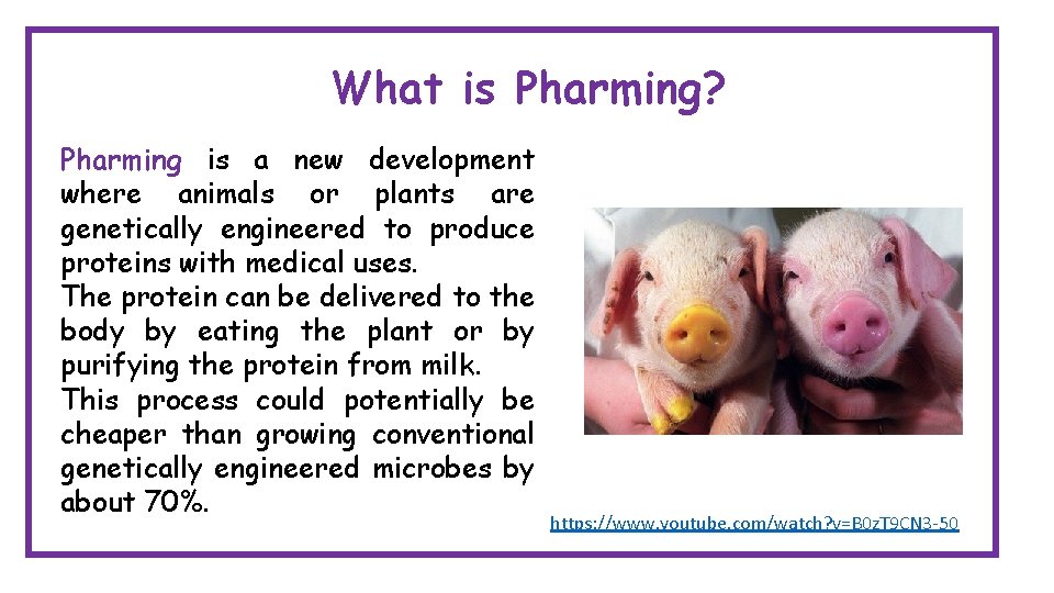 What is Pharming? Pharming is a new development where animals or plants are genetically What is Pharming? Pharming is a new development where animals or plants are genetically