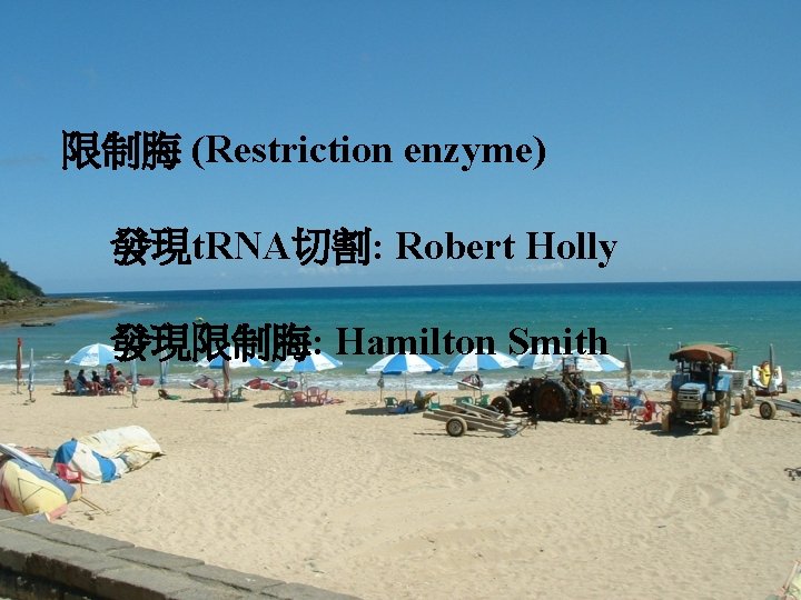 限制脢 (Restriction enzyme) 發現t. RNA切割: Robert Holly 發現限制脢: Hamilton Smith 