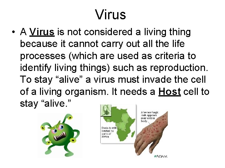 Virus • A Virus is not considered a living thing because it cannot carry