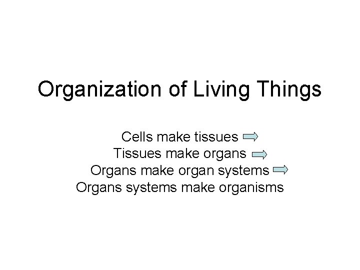 Organization of Living Things Cells make tissues Tissues make organs Organs make organ systems