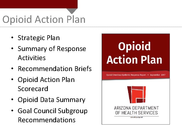 Opioid Action Plan • Strategic Plan • Summary of Response Activities • Recommendation Briefs