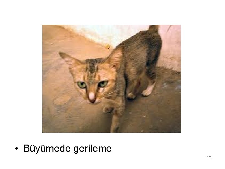  • Büyümede gerileme 12 