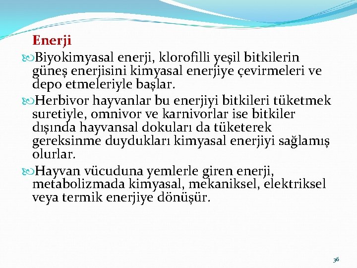 Enerji Biyokimyasal enerji, klorofilli yeşil bitkilerin güneş enerjisini kimyasal enerjiye çevirmeleri ve depo etmeleriyle