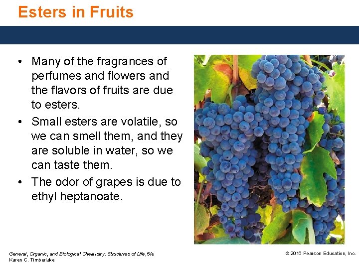 Esters in Fruits • Many of the fragrances of perfumes and flowers and the