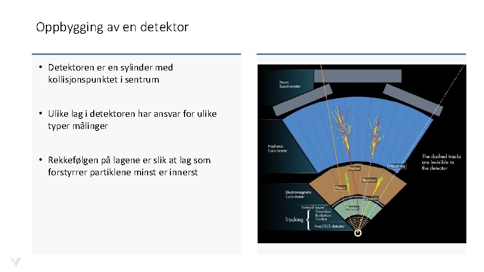 Oppbygging av en detektor • Detektoren er en sylinder med kollisjonspunktet i sentrum •