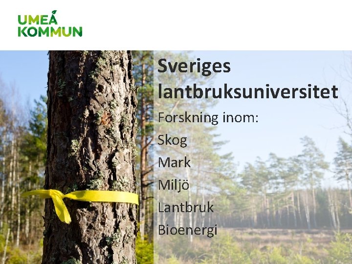 Sveriges lantbruksuniversitet Forskning inom: Skog Mark Miljö Lantbruk Bioenergi Sveriges lantbruksuniversitet Forskning inom: Skog Mark Miljö Lantbruk Bioenergi