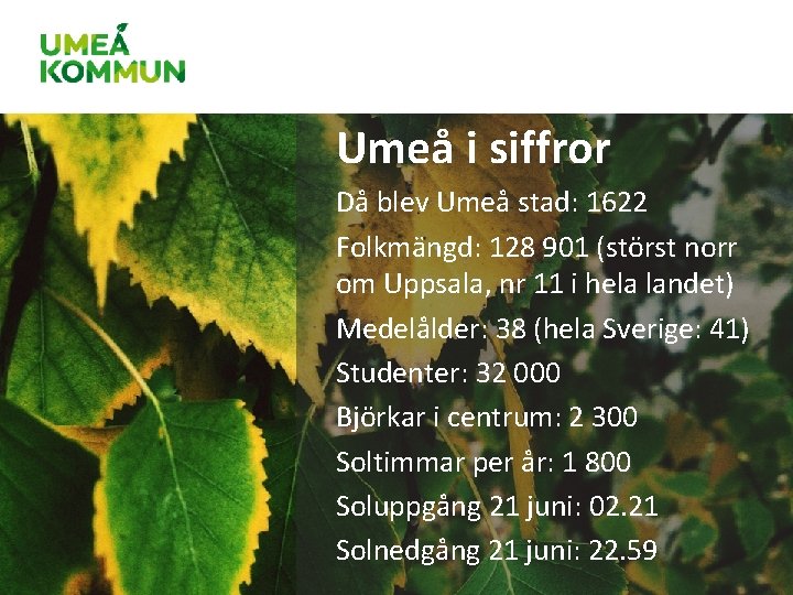 Umeå i siffror Då blev Umeå stad: 1622 Folkmängd: 128 901 (störst norr om Umeå i siffror Då blev Umeå stad: 1622 Folkmängd: 128 901 (störst norr om