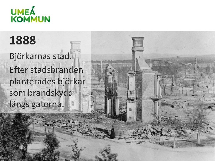 1888 Björkarnas stad. Efter stadsbranden planterades björkar som brandskydd längs gatorna. 1888 Björkarnas stad. Efter stadsbranden planterades björkar som brandskydd längs gatorna.