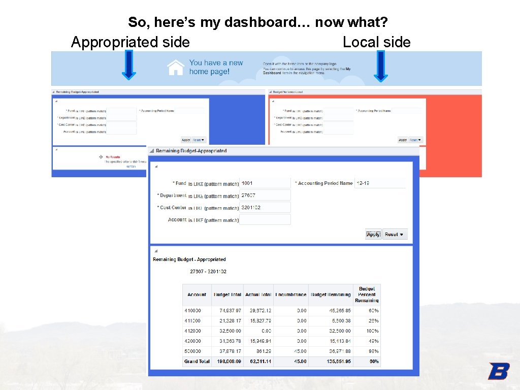 So, here’s my dashboard… now what? Appropriated side Local side 