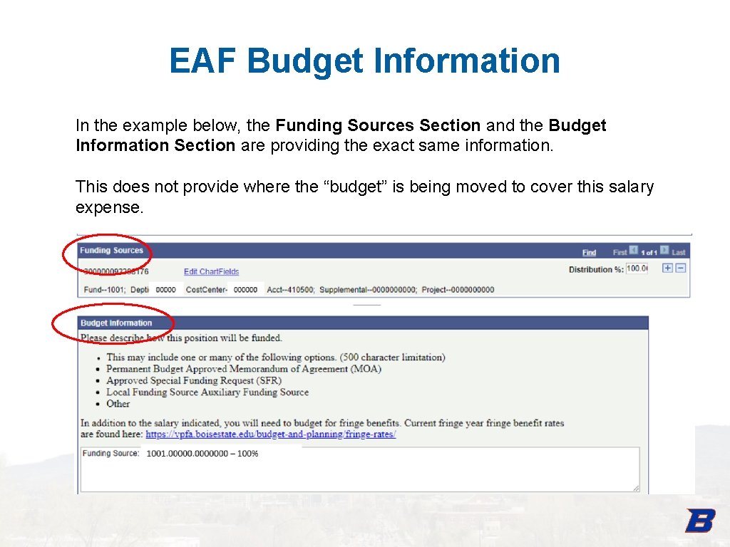 EAF Budget Information In the example below, the Funding Sources Section and the Budget