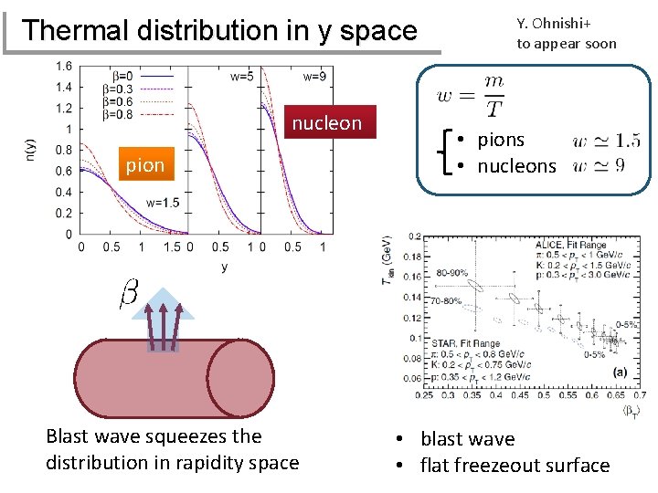 Thermal distribution in y space nucleon pion Blast wave squeezes the distribution in rapidity