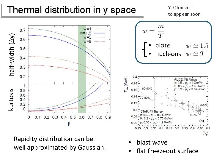 Y. Ohnishi+ to appear soon • pions • nucleons kurtosis half-width (Dy) Thermal distribution