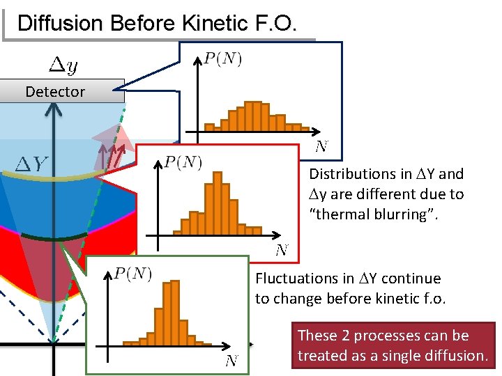 Diffusion Before Kinetic F. O. Detector Distributions in DY and Dy are different due