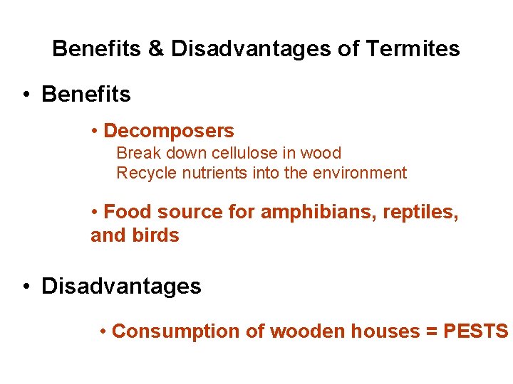 Benefits & Disadvantages of Termites • Benefits • Decomposers Break down cellulose in wood