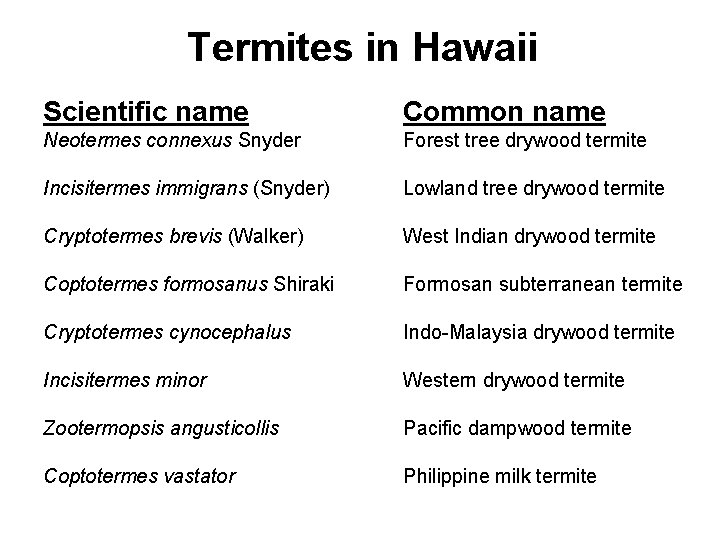 Termites in Hawaii Scientific name Common name Neotermes connexus Snyder Forest tree drywood termite