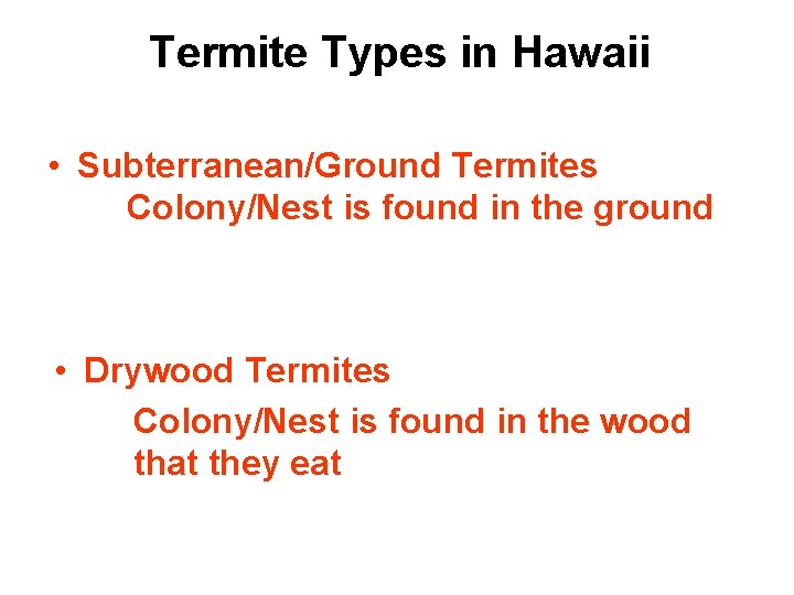 Termite Types in Hawaii • Subterranean/Ground Termites Colony/Nest is found in the ground •