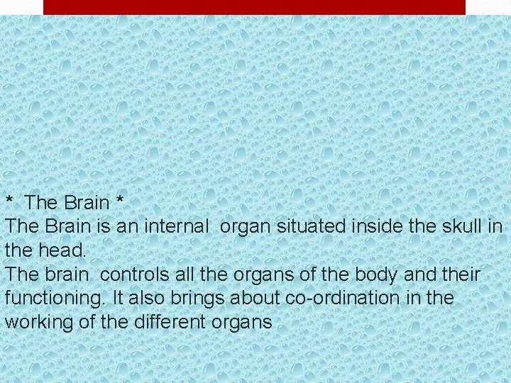 * The Brain is an internal organ situated inside the skull in the head.