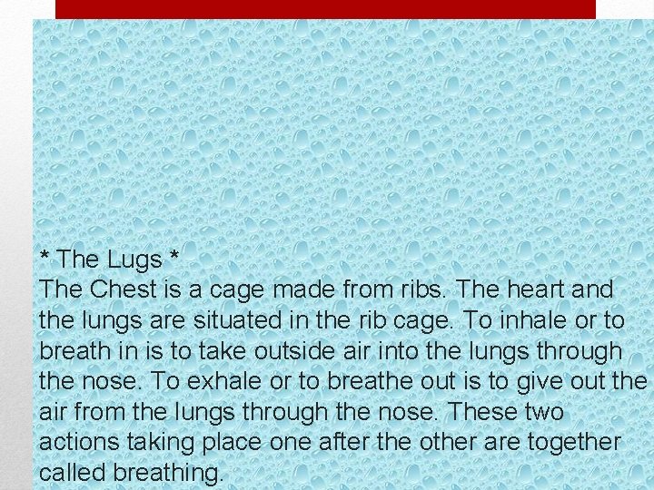 * The Lugs * The Chest is a cage made from ribs. The heart