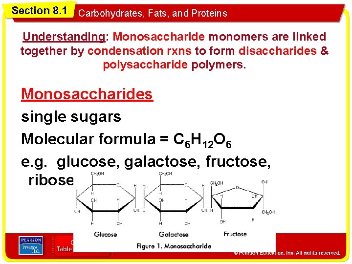 Section 8. 1 Carbohydrates, Fats, and Proteins Understanding: Monosaccharide monomers are linked together by