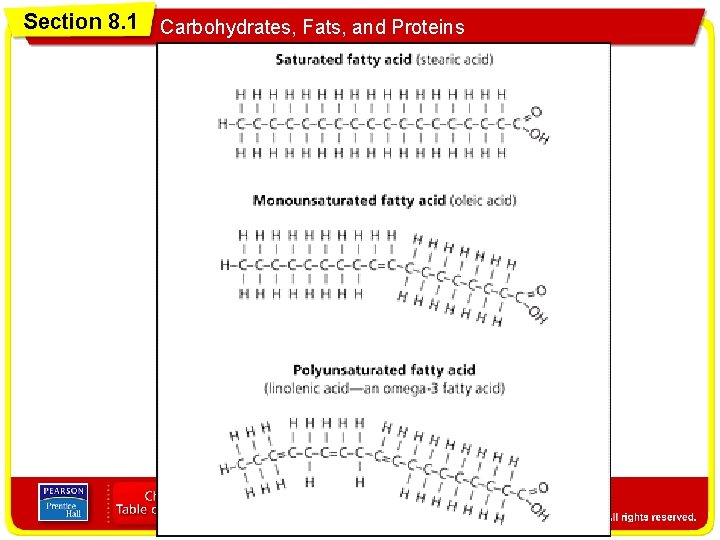 Section 8. 1 Carbohydrates, Fats, and Proteins 