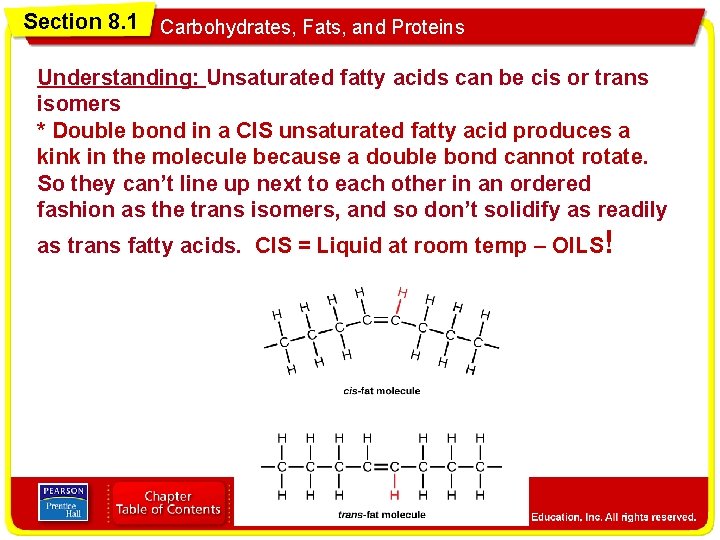 Section 8. 1 Carbohydrates, Fats, and Proteins Understanding: Unsaturated fatty acids can be cis