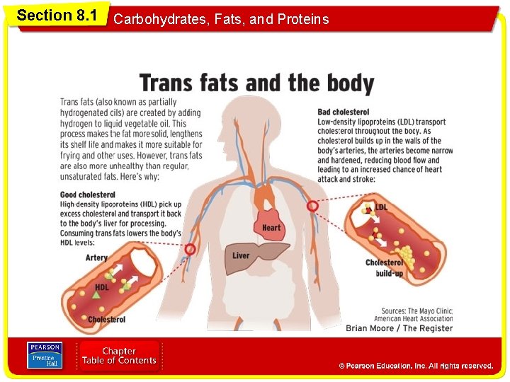 Section 8. 1 Carbohydrates, Fats, and Proteins 