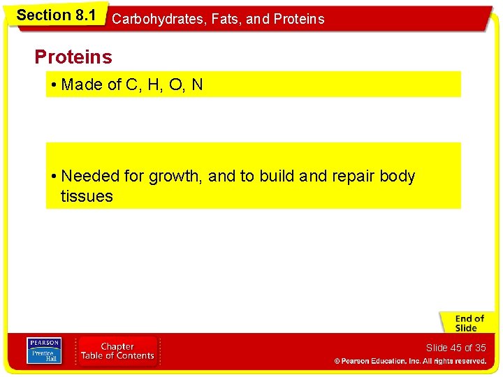 Section 8. 1 Carbohydrates, Fats, and Proteins • Made of C, H, O, N