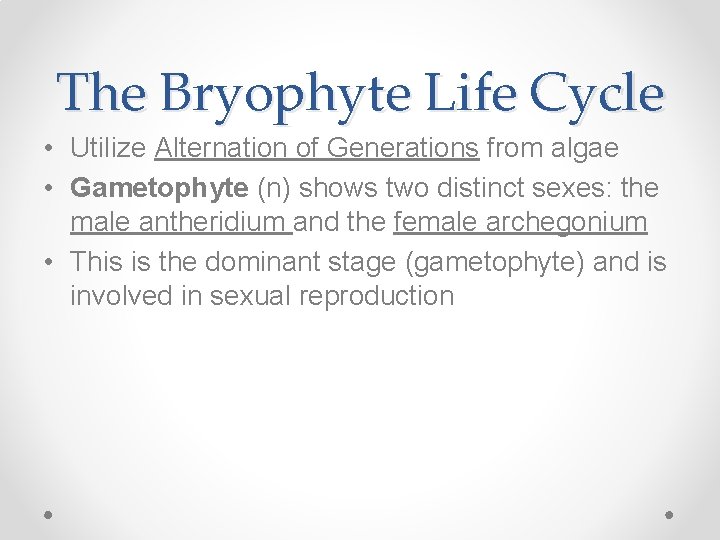 The Bryophyte Life Cycle • Utilize Alternation of Generations from algae • Gametophyte (n)