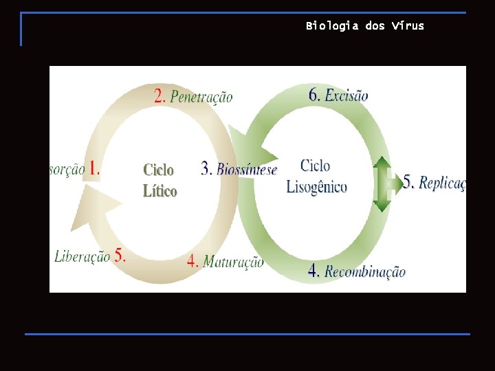 Biologia dos Vírus 