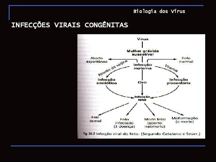 Biologia dos Vírus INFECÇÕES VIRAIS CONGÊNITAS 