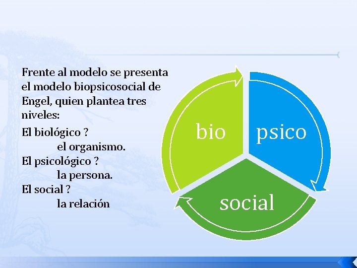 Frente al modelo se presenta el modelo biopsicosocial de Engel, quien plantea tres niveles: